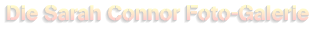 Galerie Banner