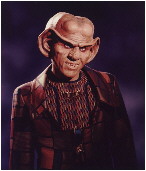 Quark